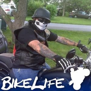 Meet your Posher, Harry